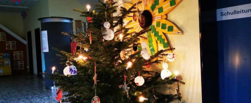 Weihnachtsbaumspende